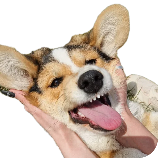 Sticker Agatik42 - 1