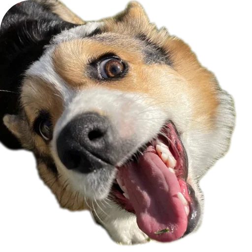 Стикер Agatik42 - 1