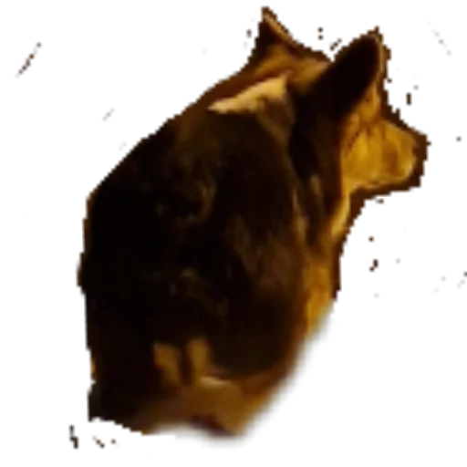 Стикер Agatik42 - 1