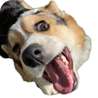 Sticker Агатик - 11