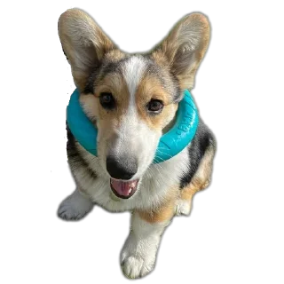 Sticker Агатик - 3