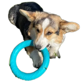 Sticker Агатик - 1