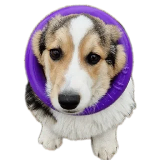 Sticker Агатик - 10