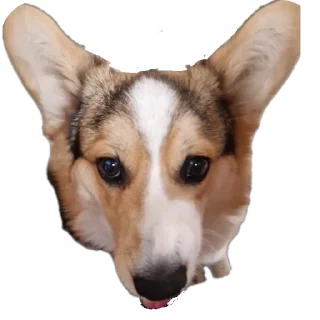 Sticker Агатик - 5