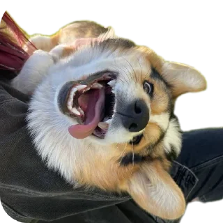 Sticker Агатик - 7