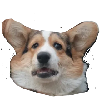 Sticker Агатик - 8