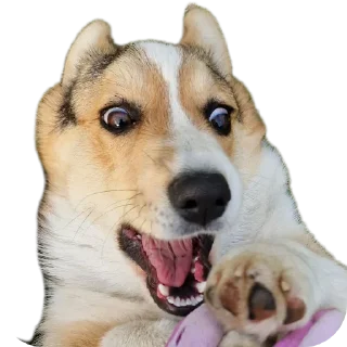 Sticker Агатик - 4