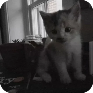 Sticker аня как дела - 11