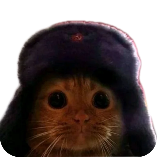 Agent_201_НЯ @MoiStikiBot - 