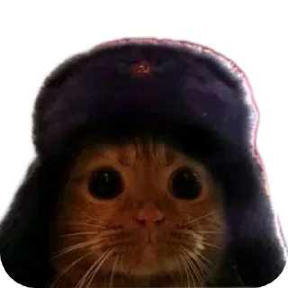 Sticker Agent_201_НЯ @MoiStikiBot - 8