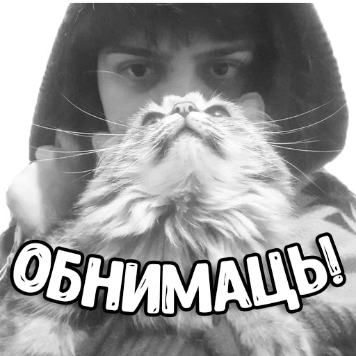 Sticker Aggsmymore - 1