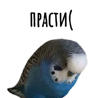 Sticker Агресивни - 11
