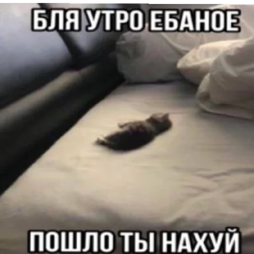 Sticker AgroNepomniByNePomni228 - 1