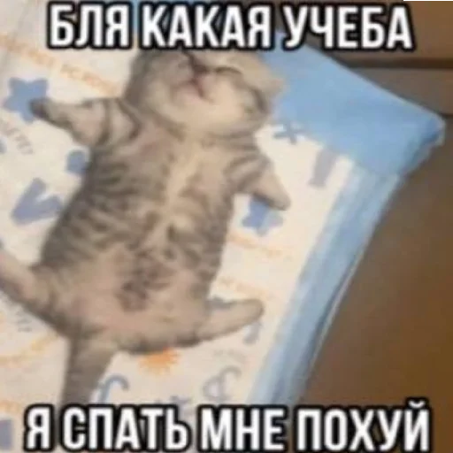 Sticker AgroNepomniByNePomni228 - 1