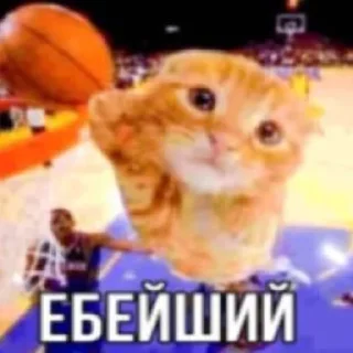 Sticker Агро непомни by @NePomni228 - 11