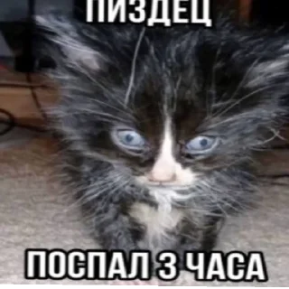 Sticker Агро непомни by @NePomni228 - 1