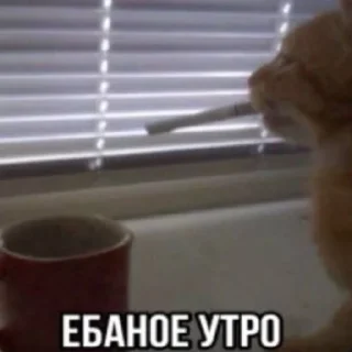 Sticker Агро непомни by @NePomni228 - 3