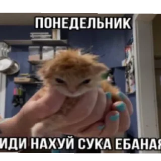 Sticker Агро непомни by @NePomni228 - 8