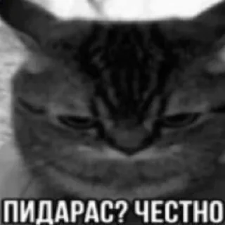 Sticker Агро непомни by @NePomni228 - 10