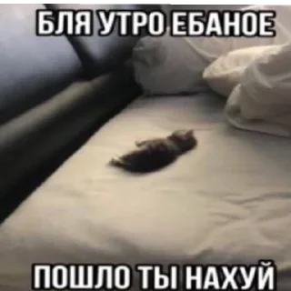 Sticker Агро непомни by @NePomni228 - 9