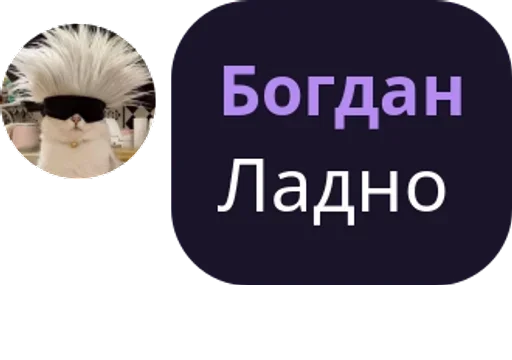 text graphic design graphics