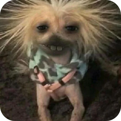 Sticker Ahahah1790 - 1