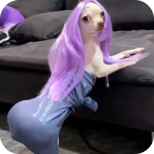 Стикер Ahahah1790 - 1