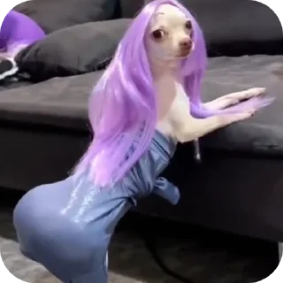 Sticker Ахахах - 2