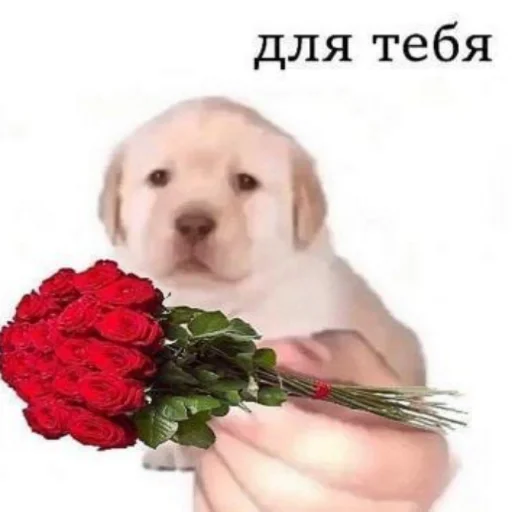 Муд лошка😎 - 