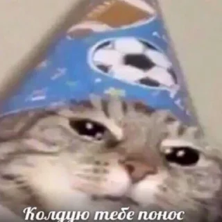 Sticker Муд лошка😎 - 4