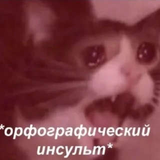 Sticker Муд лошка😎 - 3