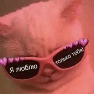 Sticker Муд лошка😎 - 7