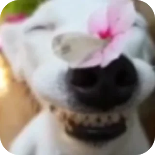 Sticker хххх - 8