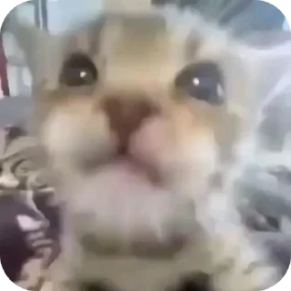 Sticker хххх - 6