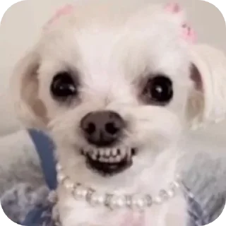 Sticker хххх - 7