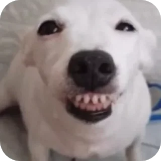 Sticker хххх - 4