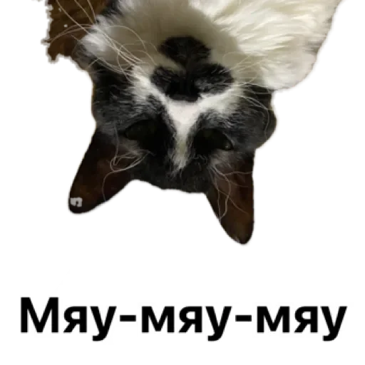 Sticker Бля by @stqrapp - 5