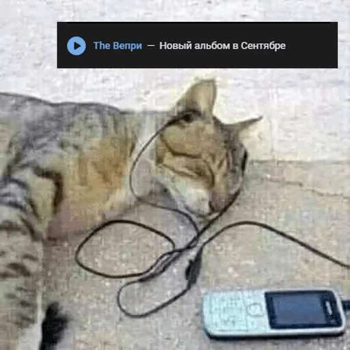 Sticker https://t.me/ikakprosto_sliv_chat - 1