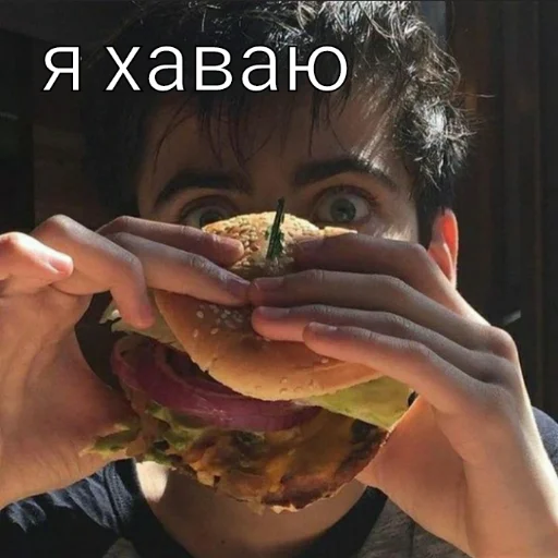 person fast food sandwich