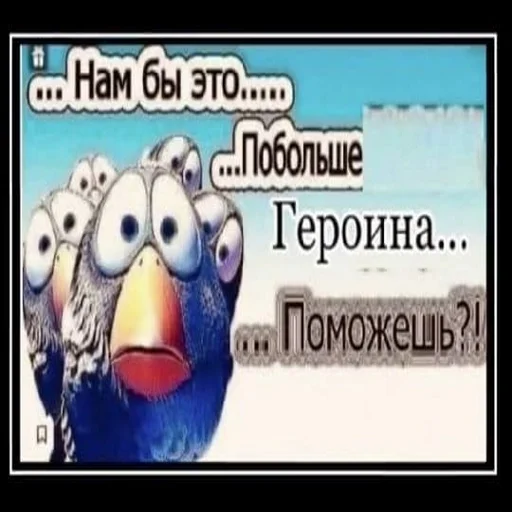 Sticker собака :: @fStikBot - 3