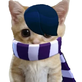 Sticker 5а класс - 9