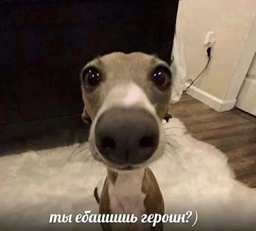 Sticker деду 6 лет :: @fStikBot - 8