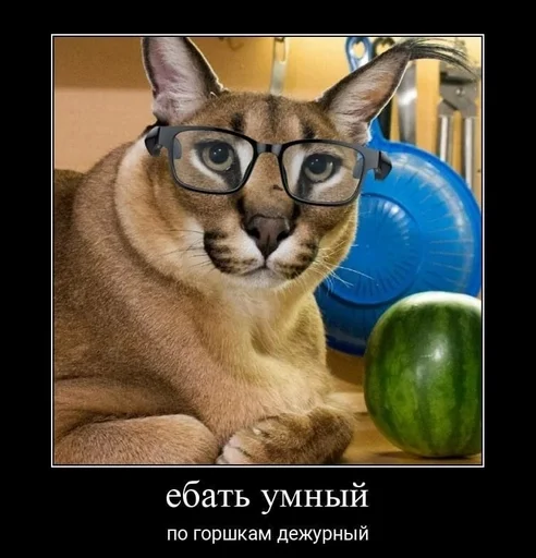 Sticker деду 6 лет :: @fStikBot - 6