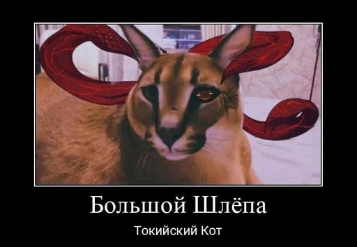 Sticker деду 6 лет :: @fStikBot - 3