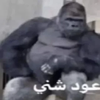 Стикер دحشيش - 5