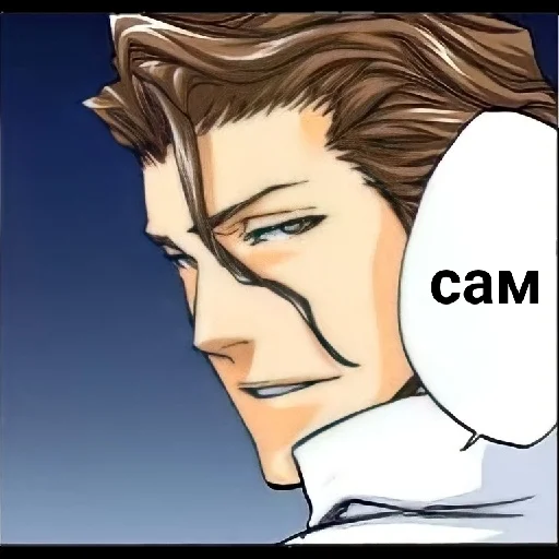 Стикер Айзен соло - 5