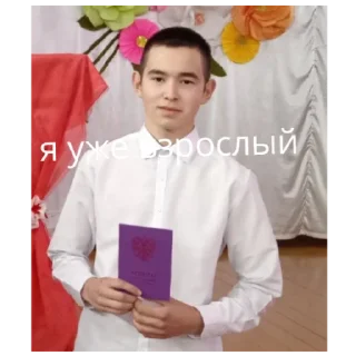 Sticker Айнур - 1