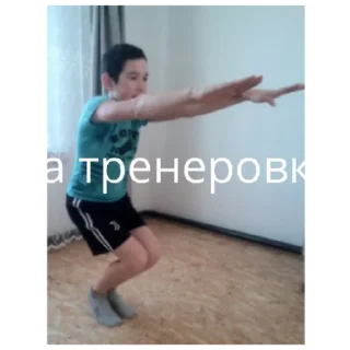 Sticker Айнур - 9