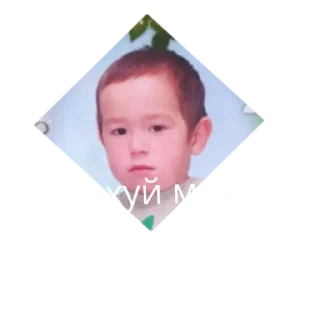 Sticker Айнур - 10