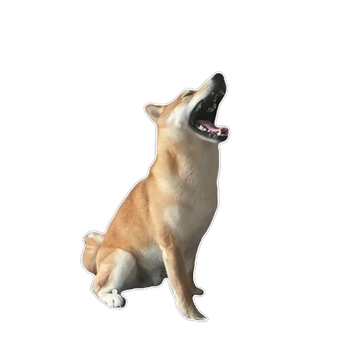 Sticker Akinator2 - 1